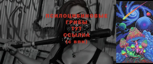 ПСИЛОЦИБИНОВЫЕ ГРИБЫ Аркадак
