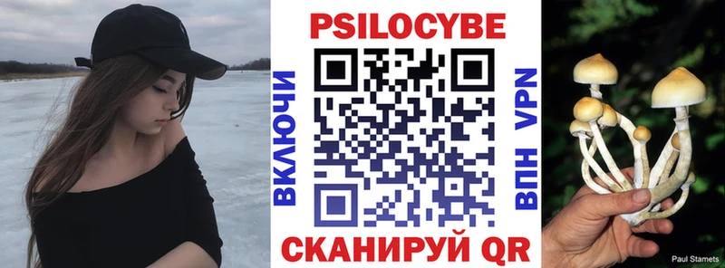 как найти закладки  Асино  Галлюциногенные грибы Psilocybine cubensis 