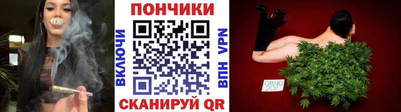 купить наркотики сайты  Асино  Бошки марихуана VHQ 